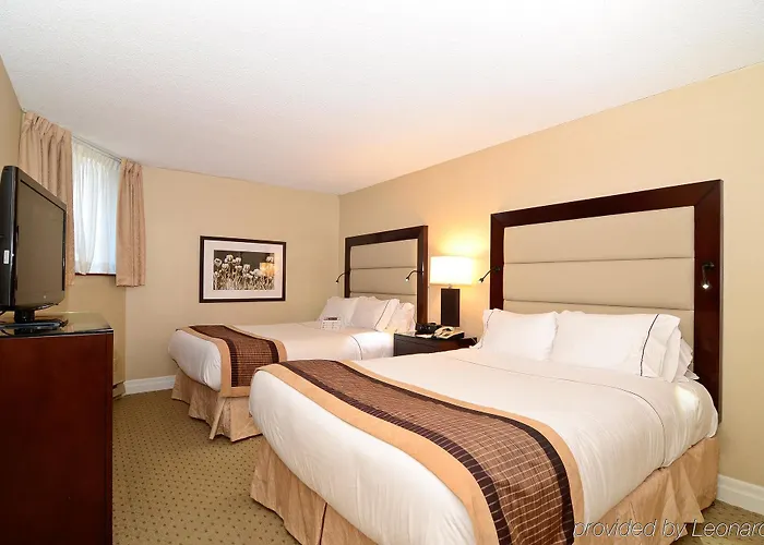 Superior Two-Bedroom Suite